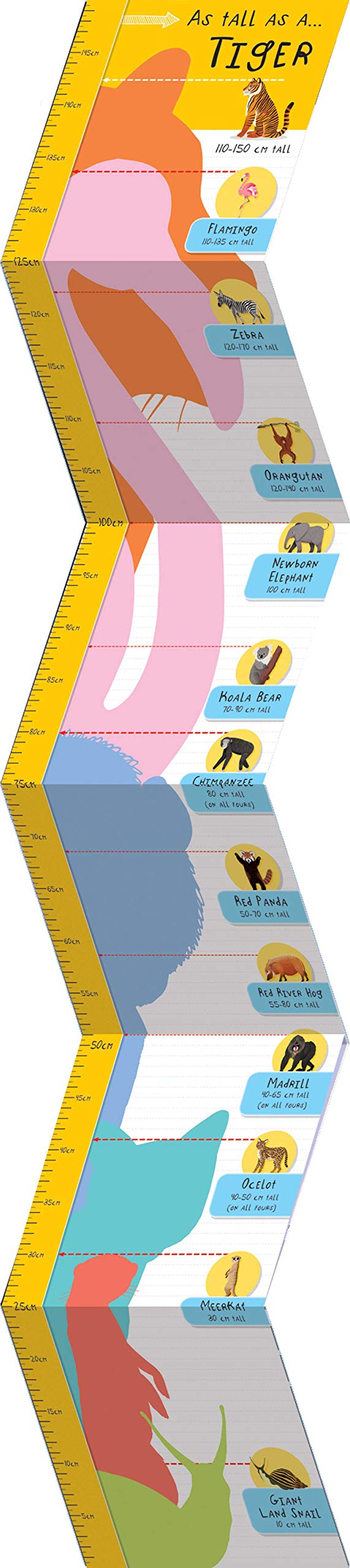 Are You Taller than a Tiger? Growth Chart