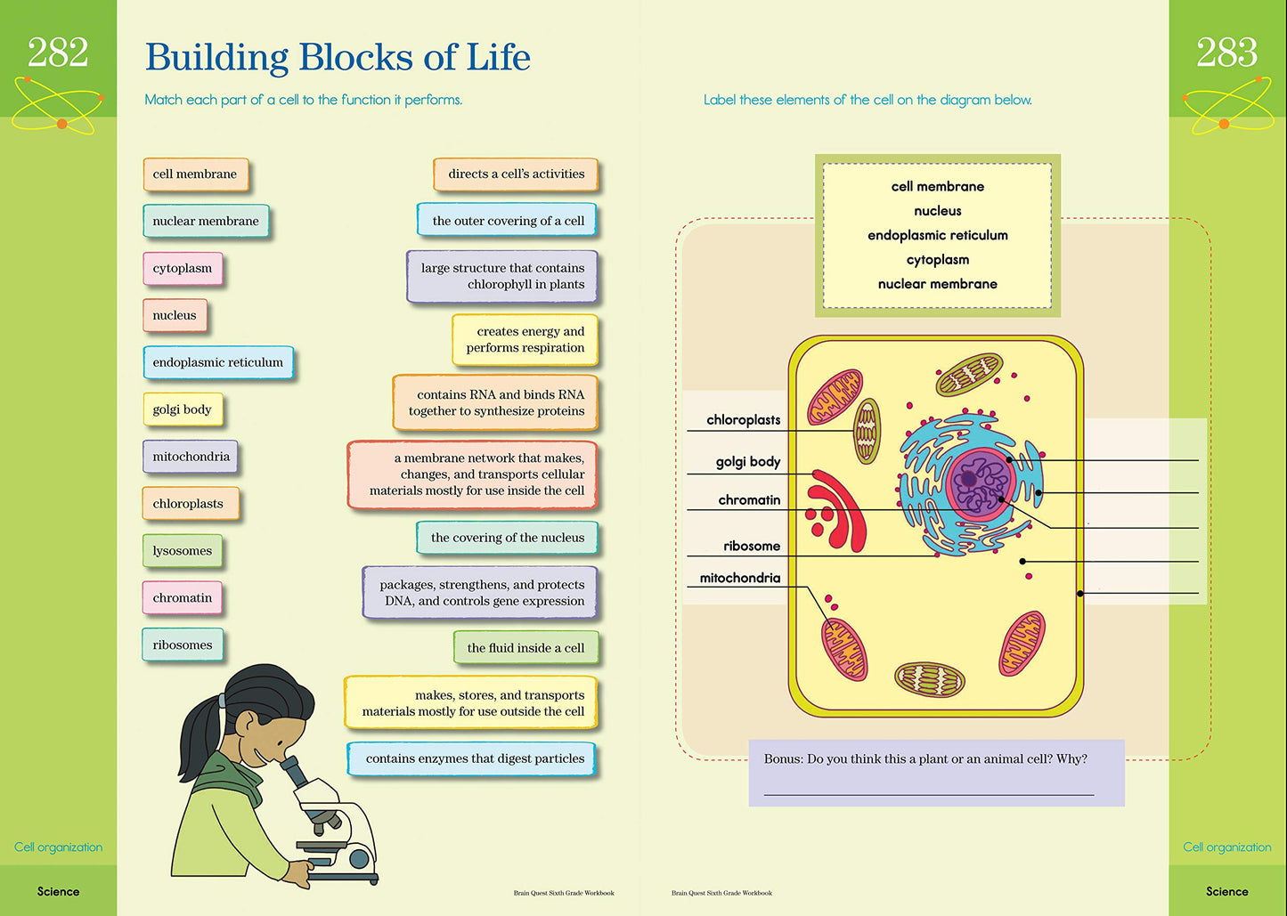 Brain Quest Workbook: Grade 6 (Ages 11-12)