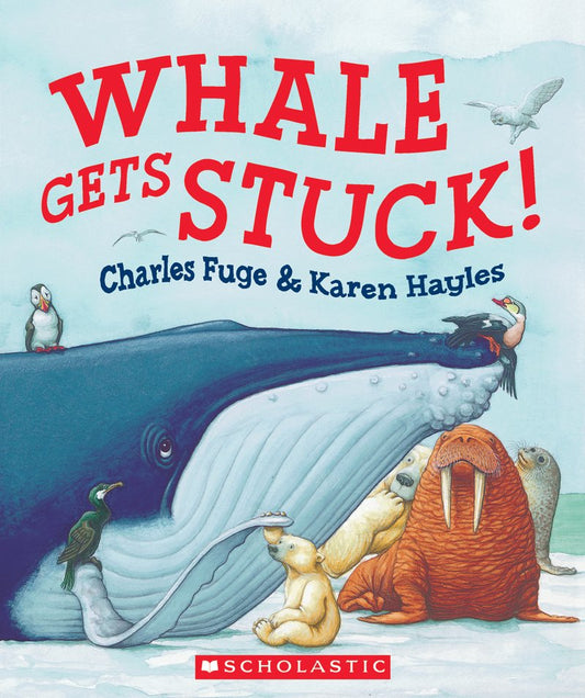 Whale Gets Stuck!