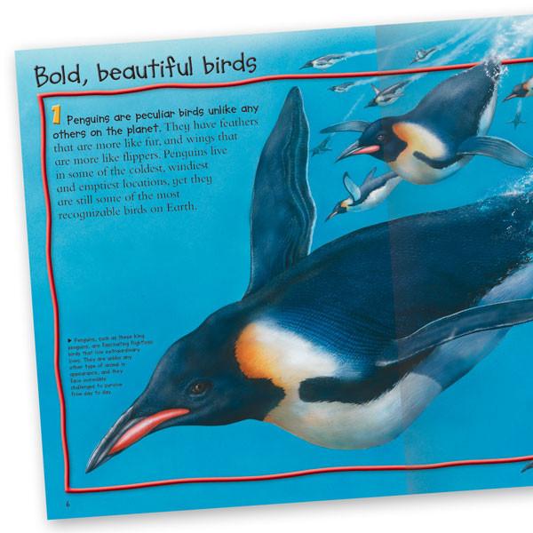 100 Facts Penguins