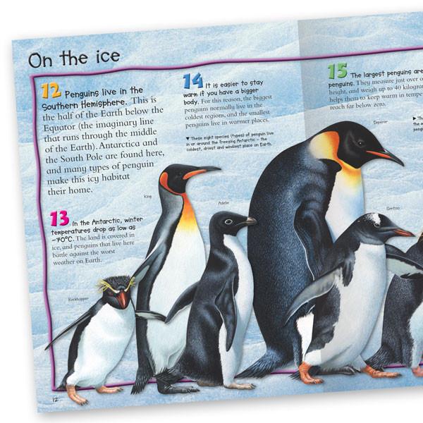 100 Facts Penguins