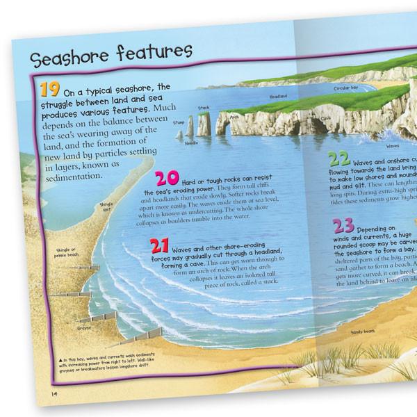 100 Facts Seashore