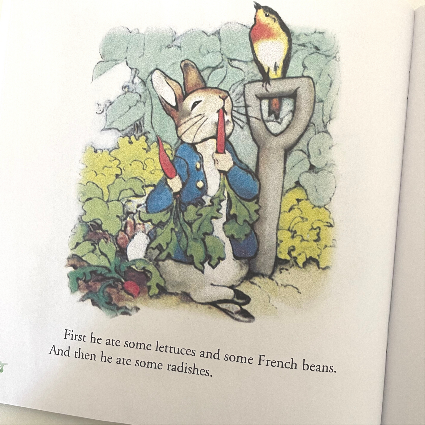 The Tale of Peter Rabbit