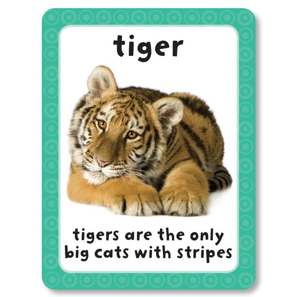 Get Set Go Flashcards: Animals