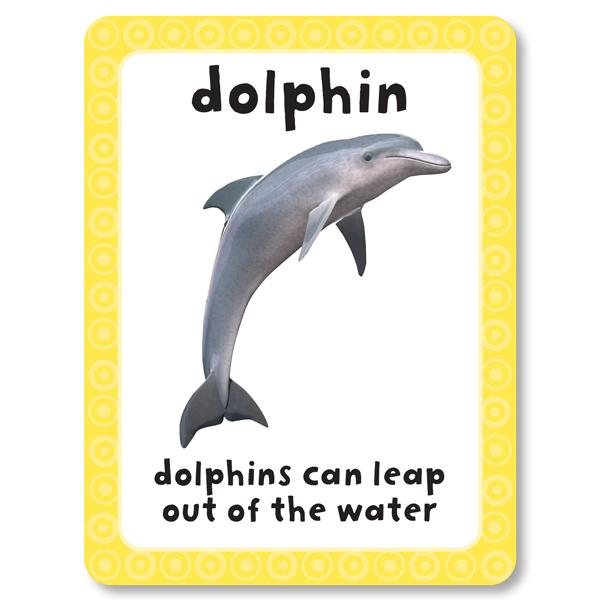 Get Set Go Flashcards: Animals