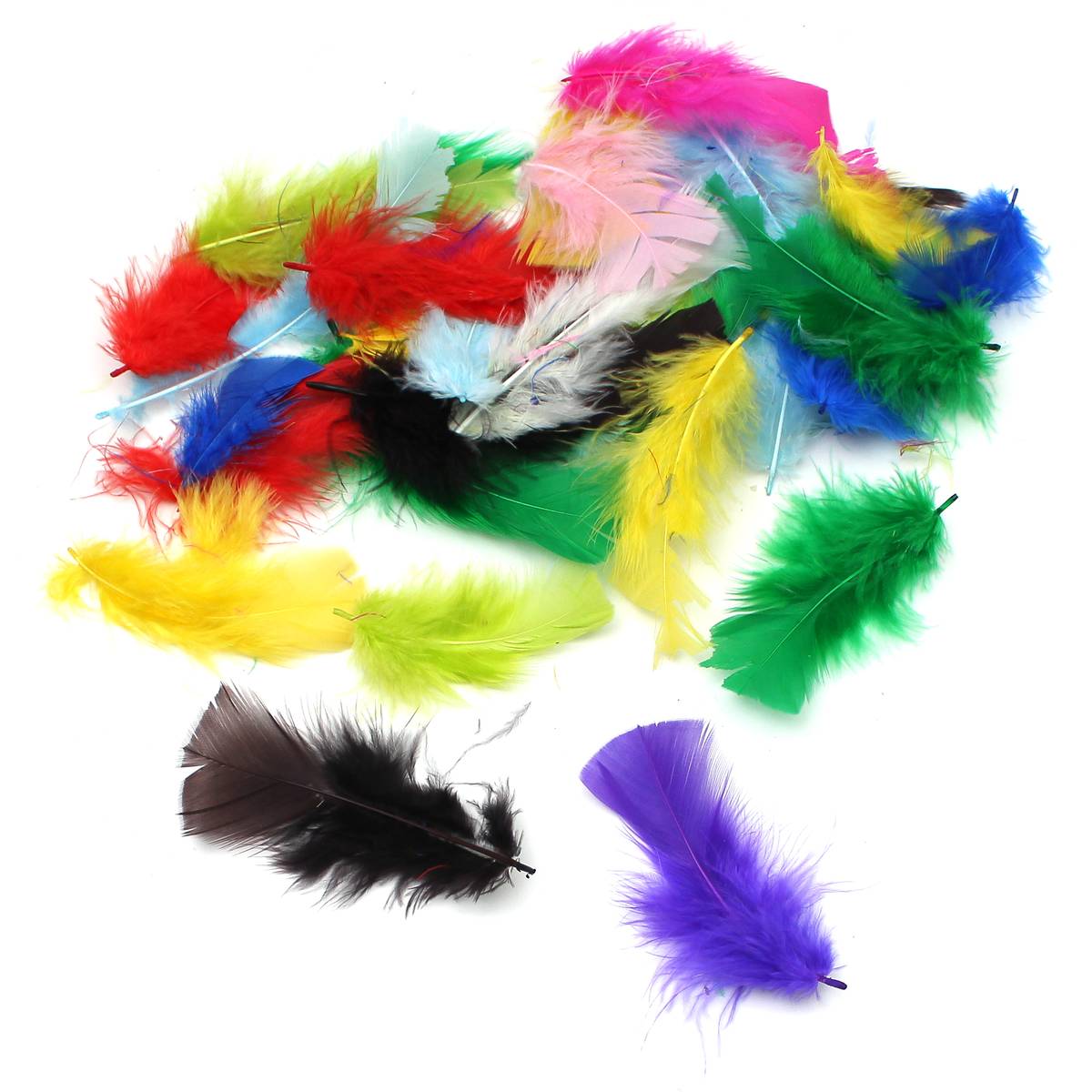 Craft Feathers