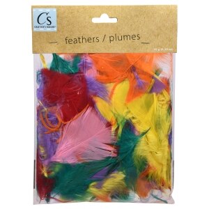 Craft Feathers