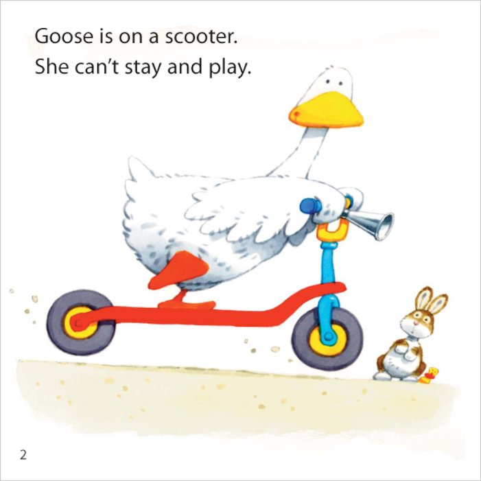 Usborne Phonics Readers: Goose on the Loose