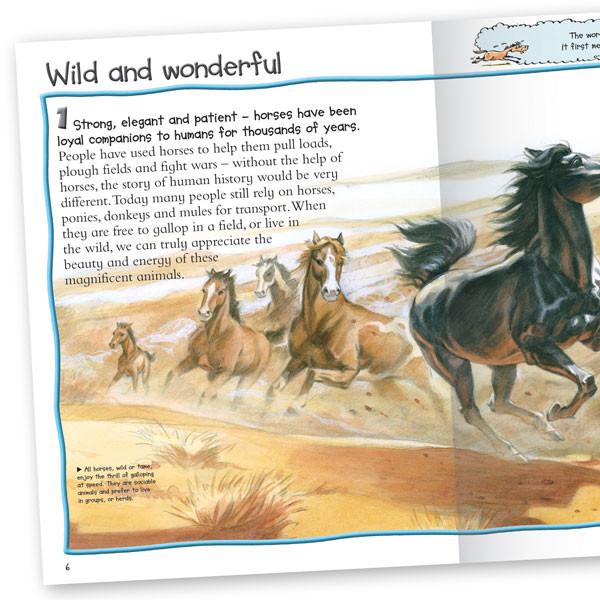 100 Facts Horses and Ponies