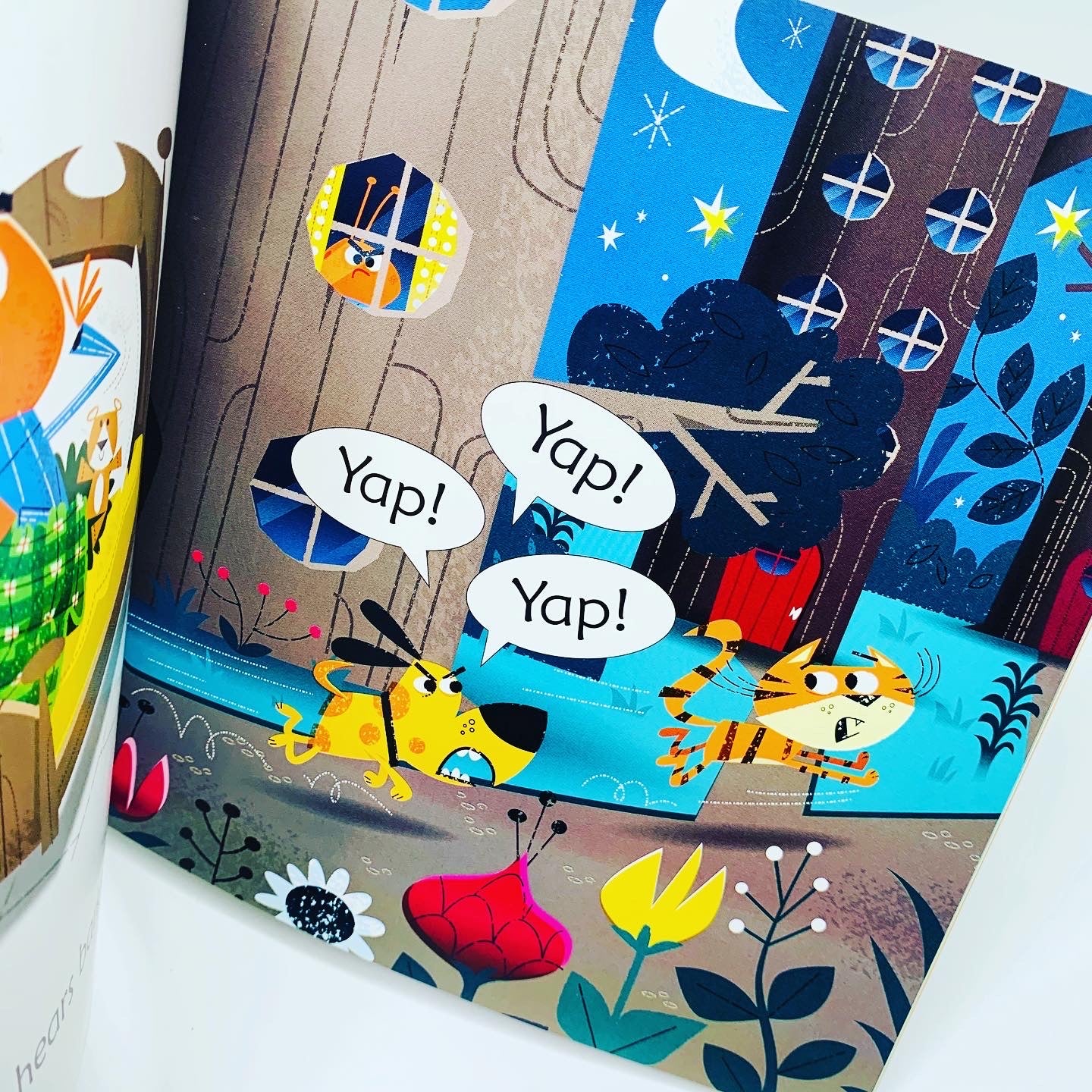 Usborne Phonics Readers: Bug in a Rug