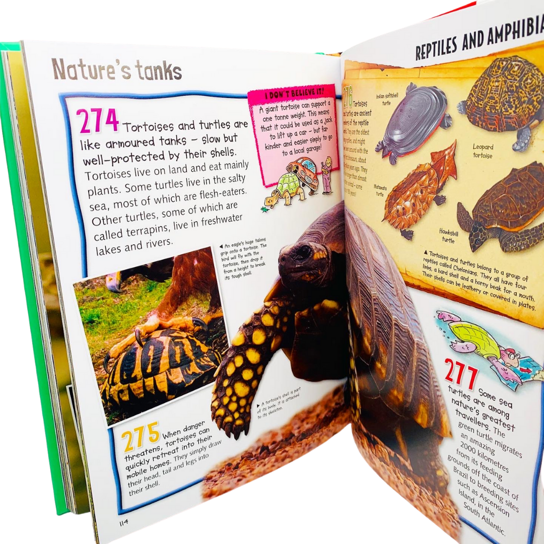 Miles Kelly: Wild About Animals Children's Encyclopedia