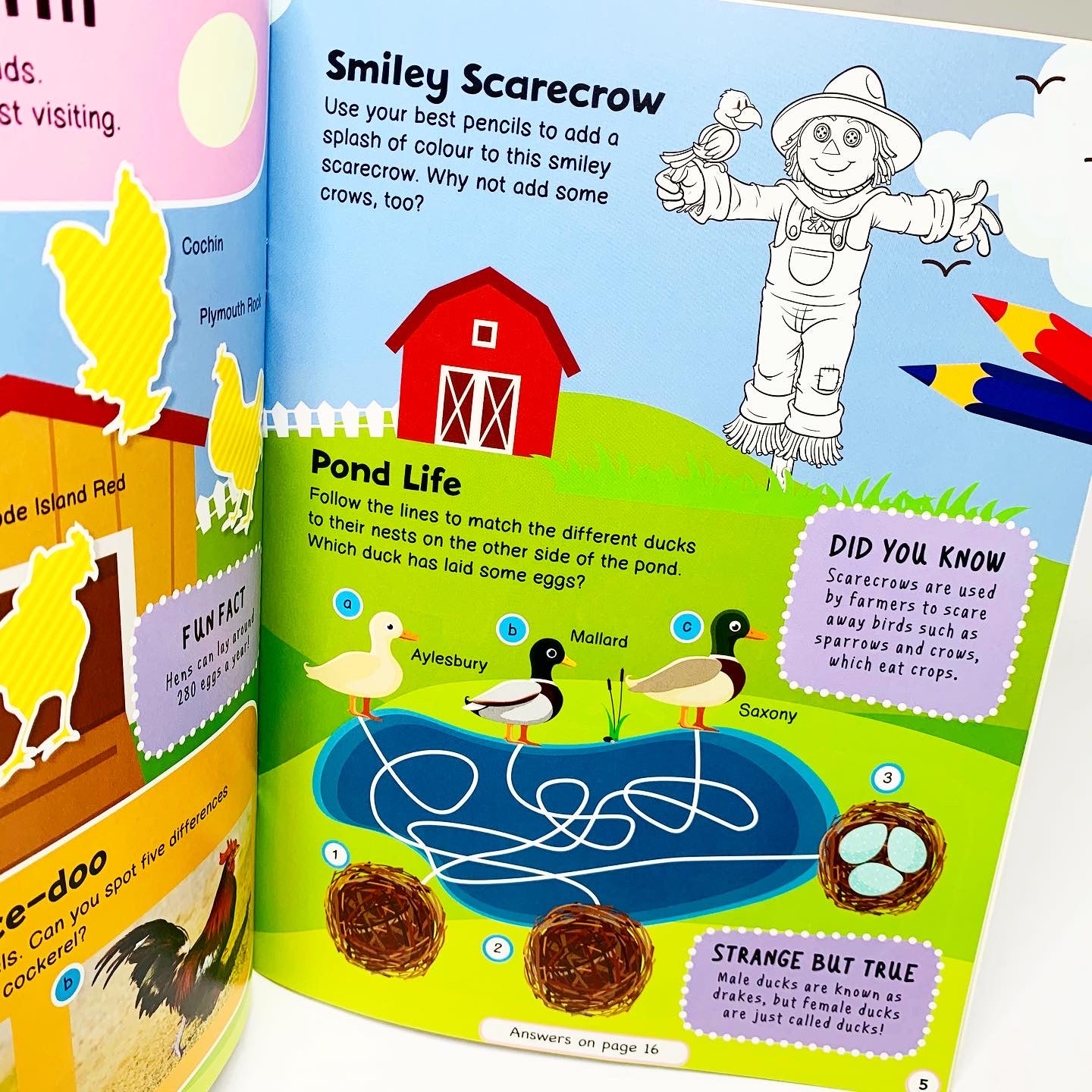 Farm Animals Activity Book