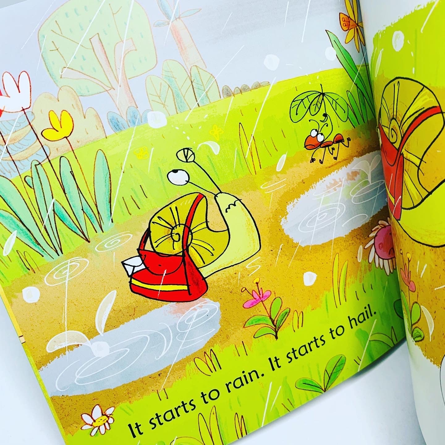 Usborne Phonics Readers: Snail Brings the Mail