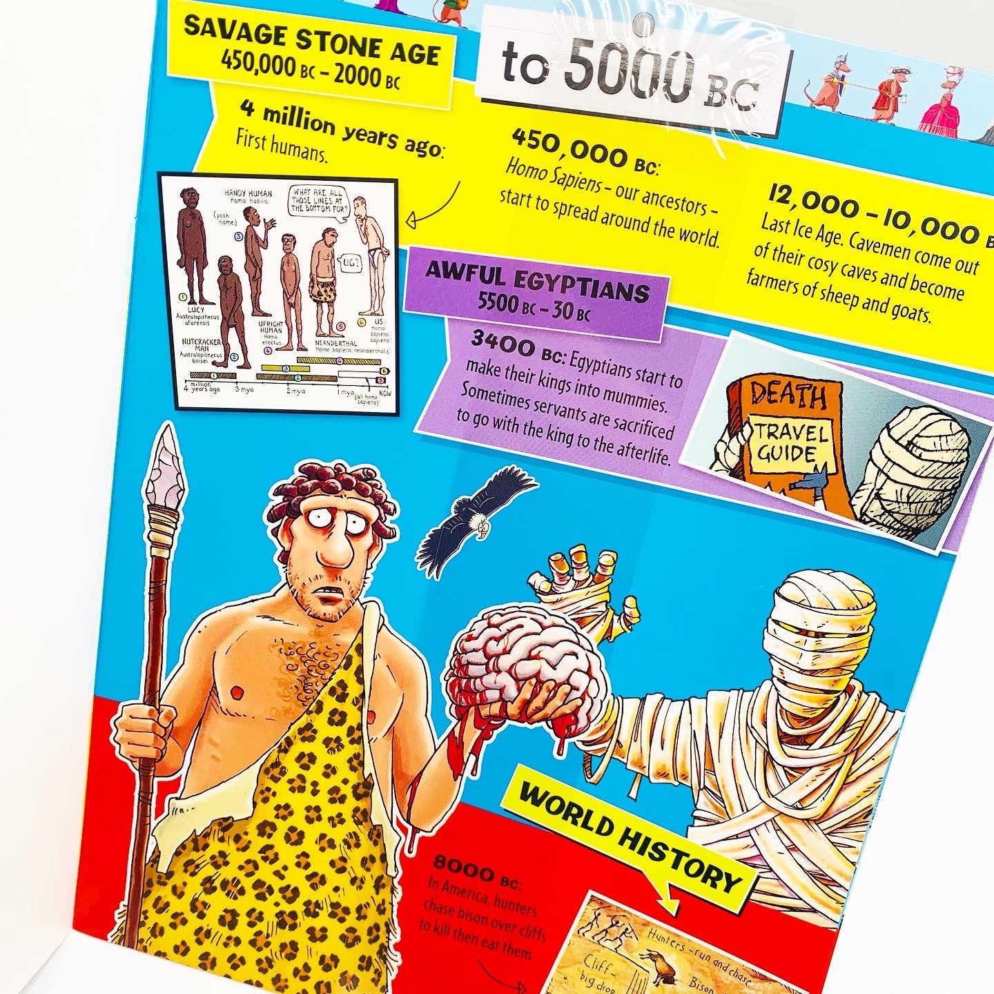 Horrible Histories: Terrible Timeline Sticker Book (with awesome 3 metre fold-out timeline and over 300 stickers!)