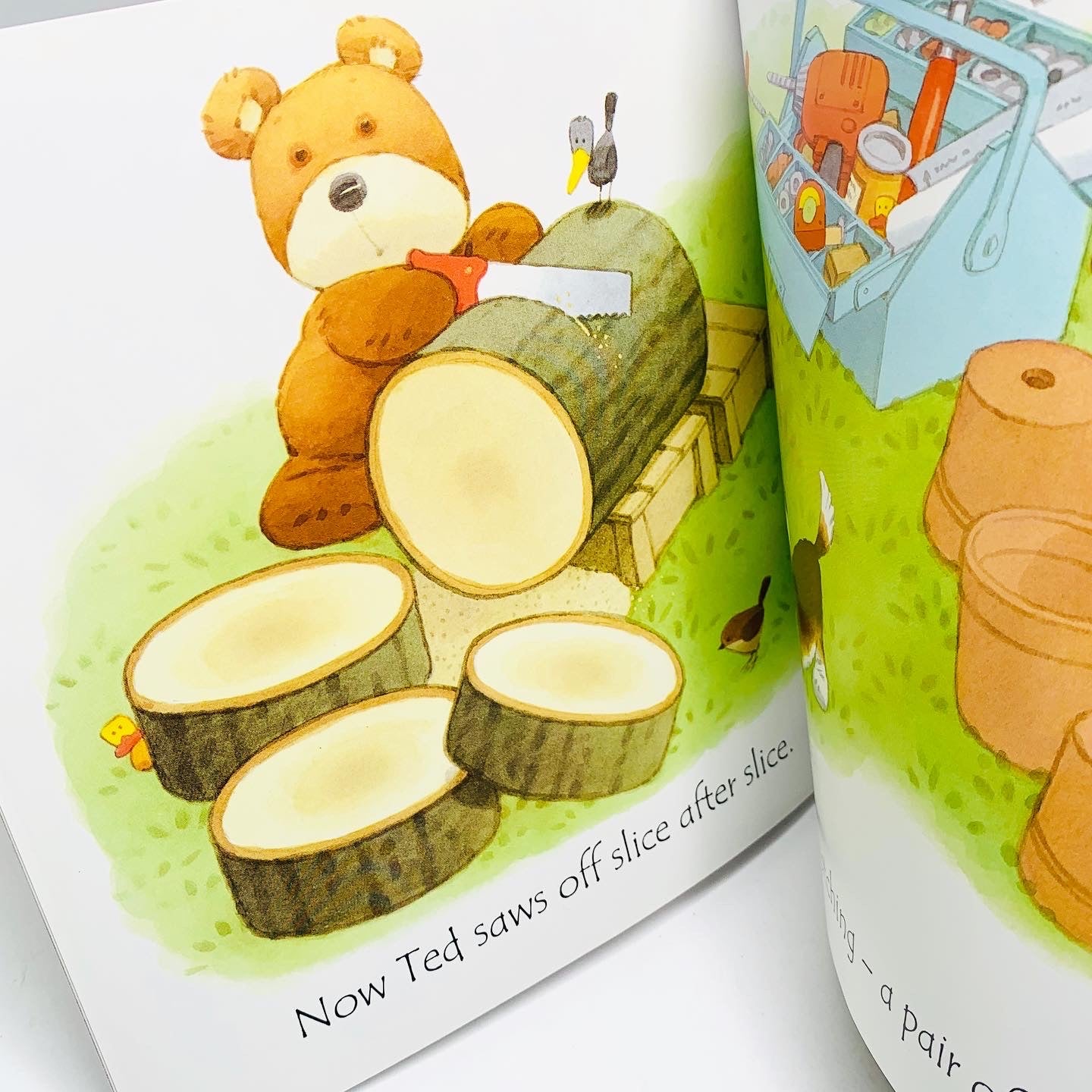 Usborne Phonics Readers: Ted's Shed