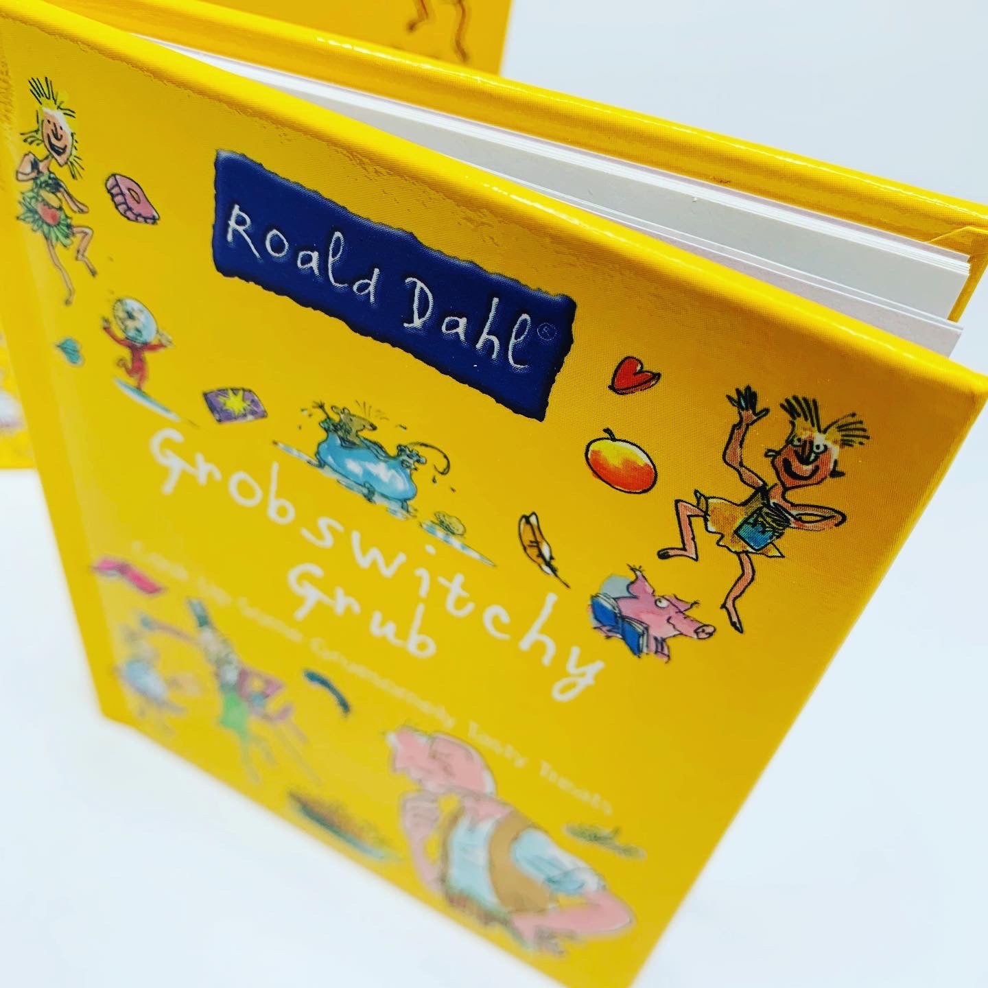 Roald Dahl's Grobswitchy Grub Mini Activity