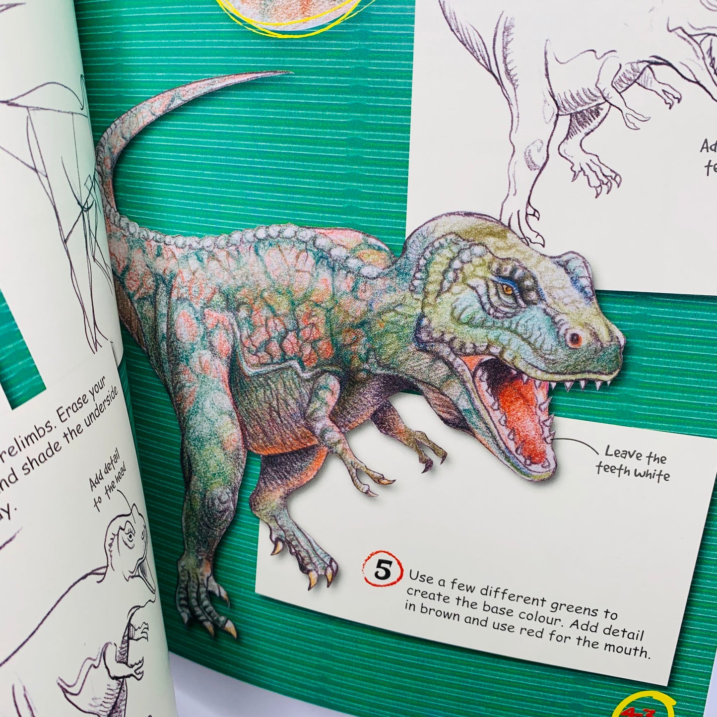 How to Draw Dinosaurs