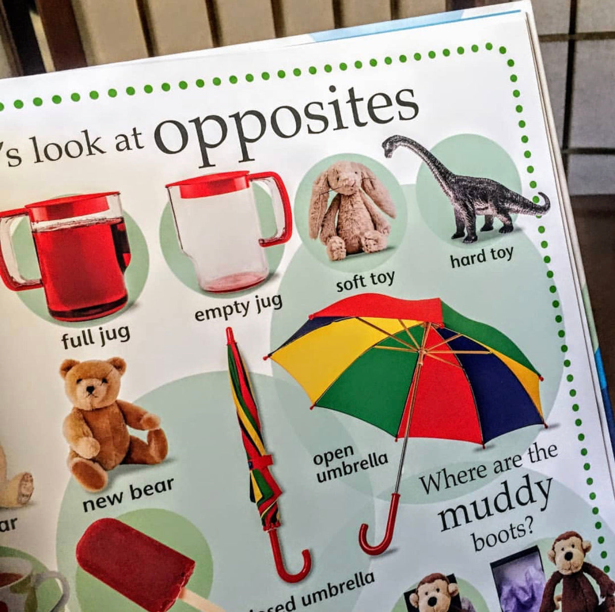 The Toddler's Big Book of Everything