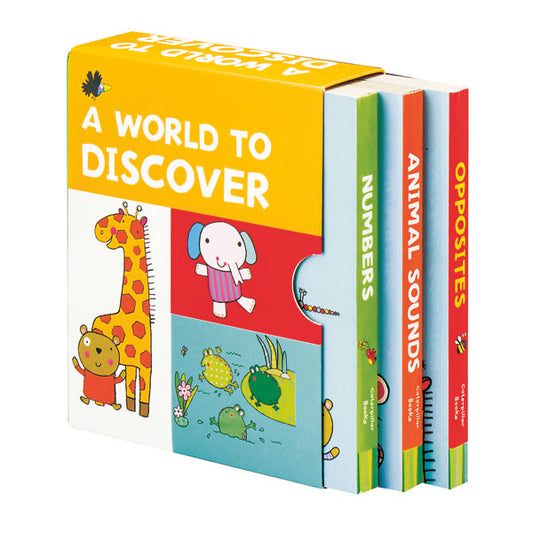 World to Discover: 3 Book Collection