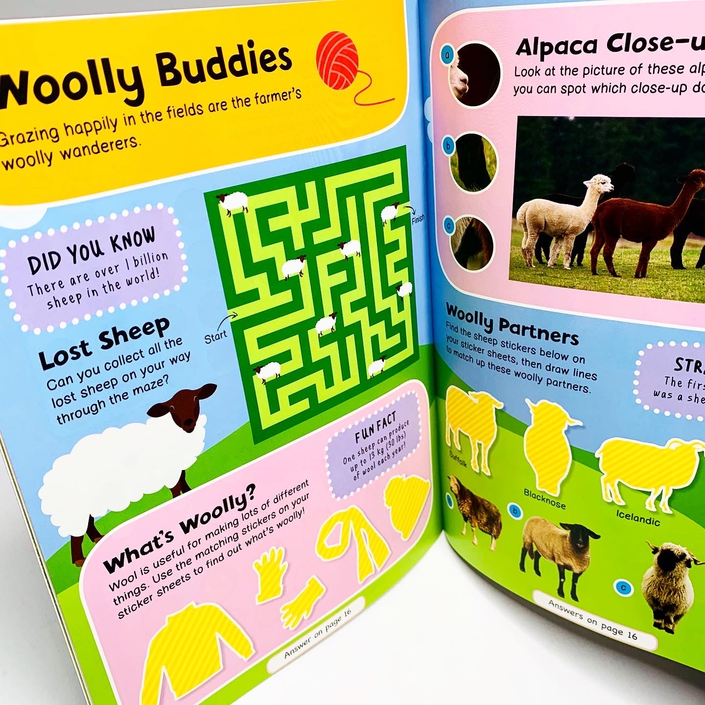 Farm Animals Activity Book