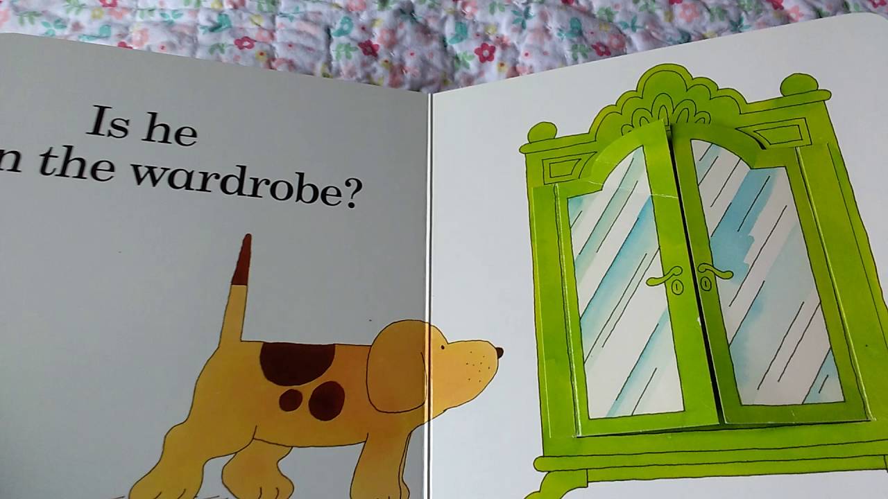 Where's Spot? A lift-the-Flap Book