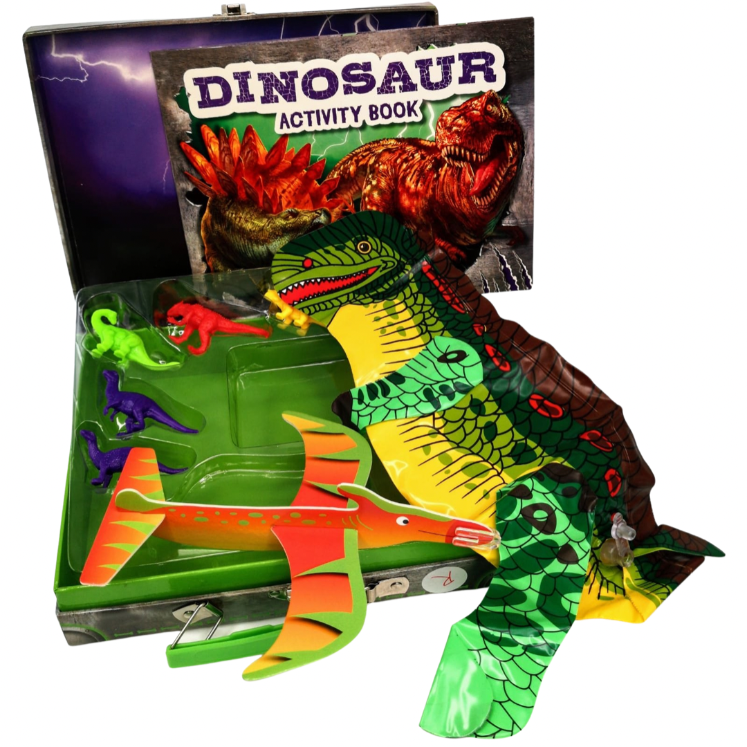 Dinosaur Activity Box