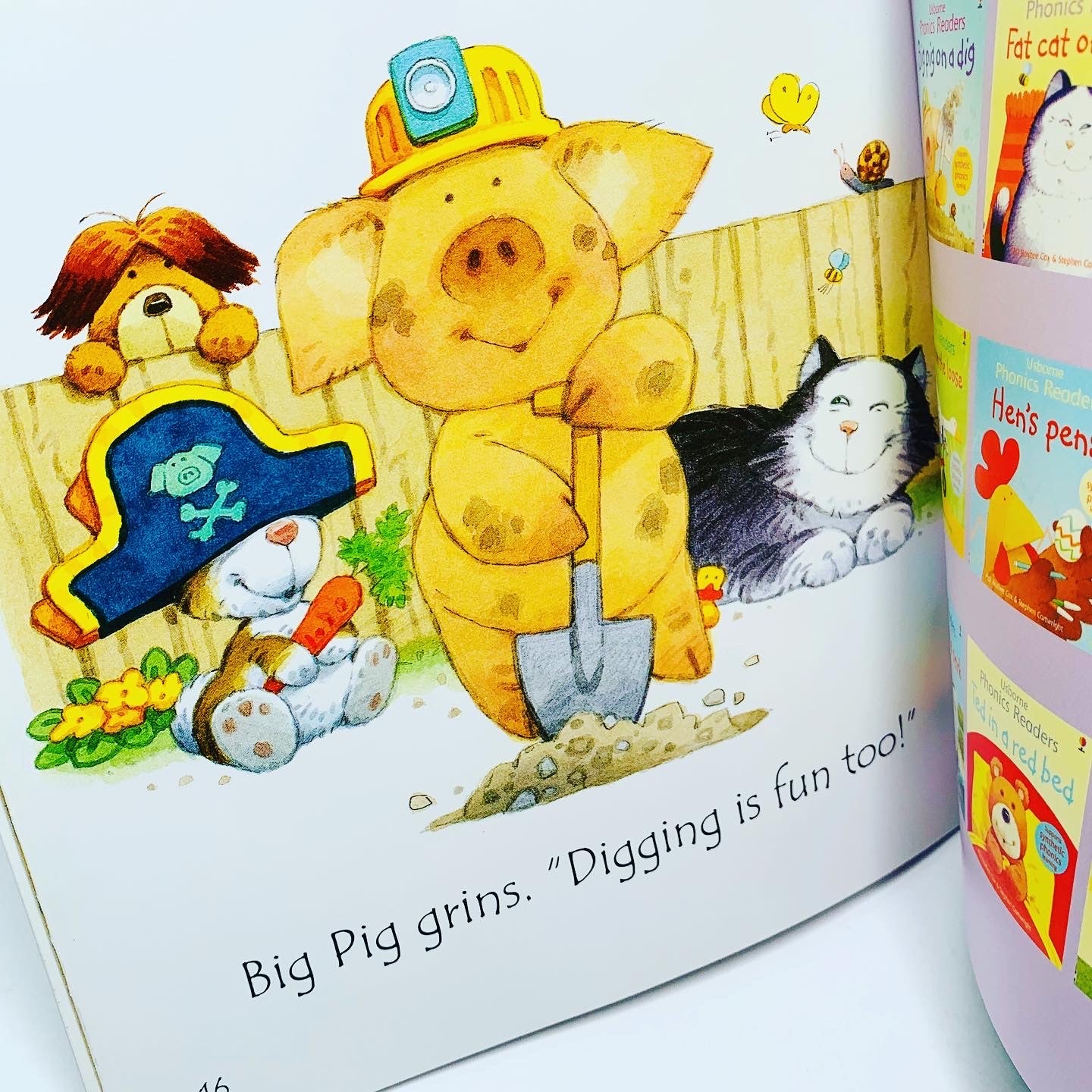 Usborne Phonics Readers: Big Pig on a Dig