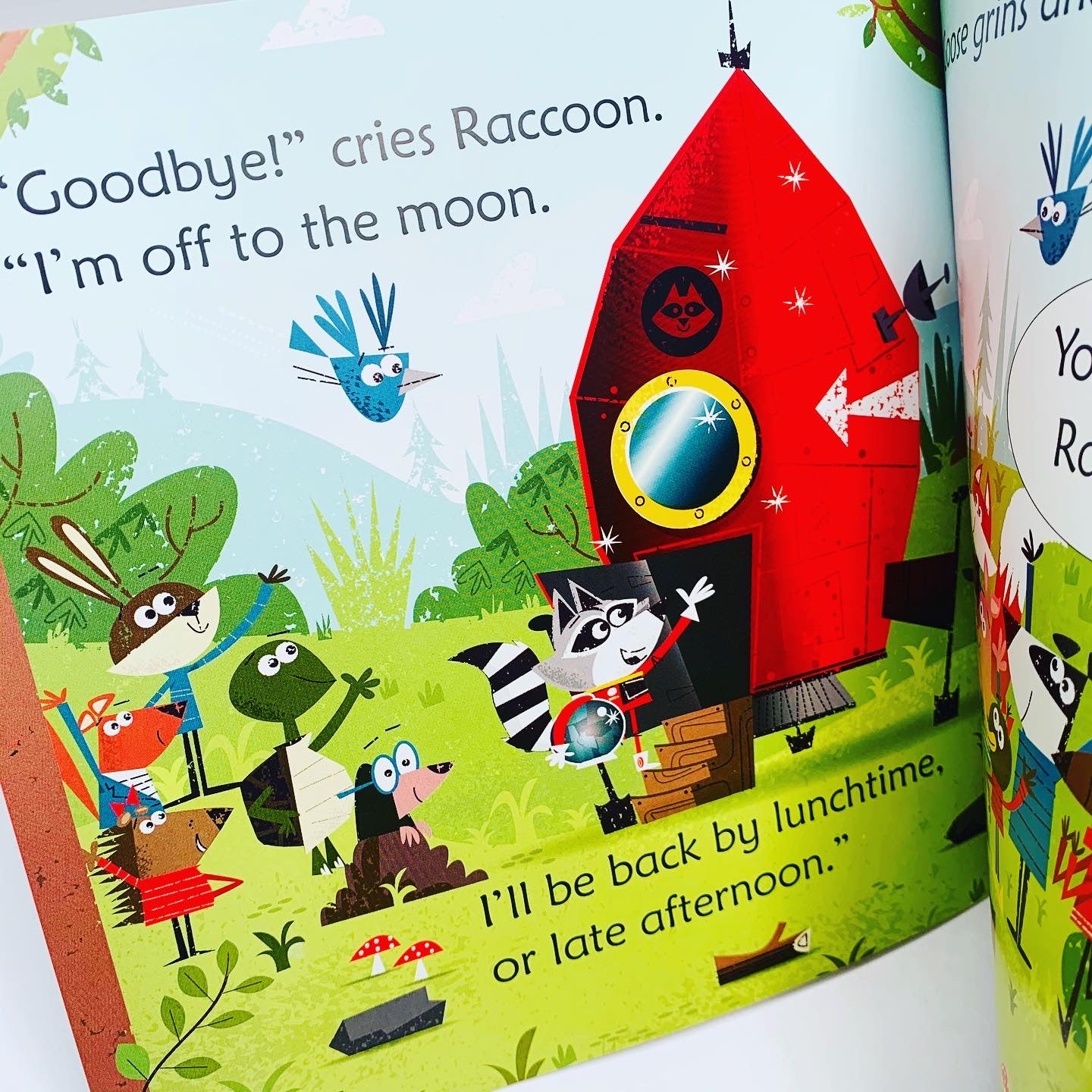 Usborne Phonics Readers: Raccoon on the Moon