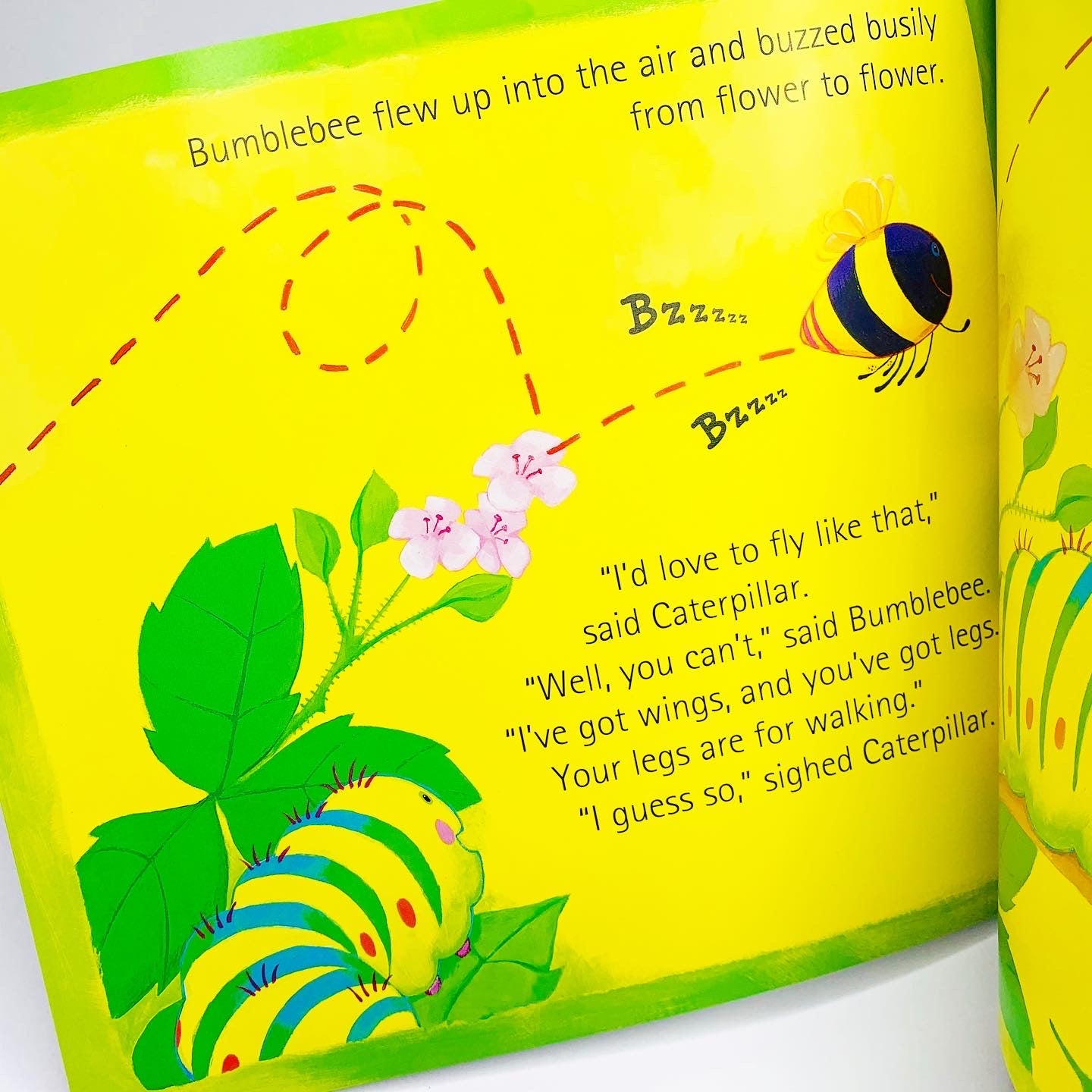 The Crunching Munching Caterpillar: Picture Book & CD