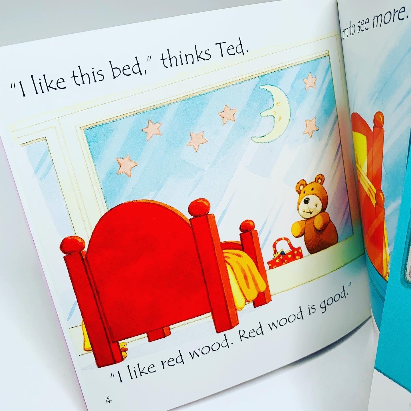 Usborne Phonics Readers: Ted in a Red Bed