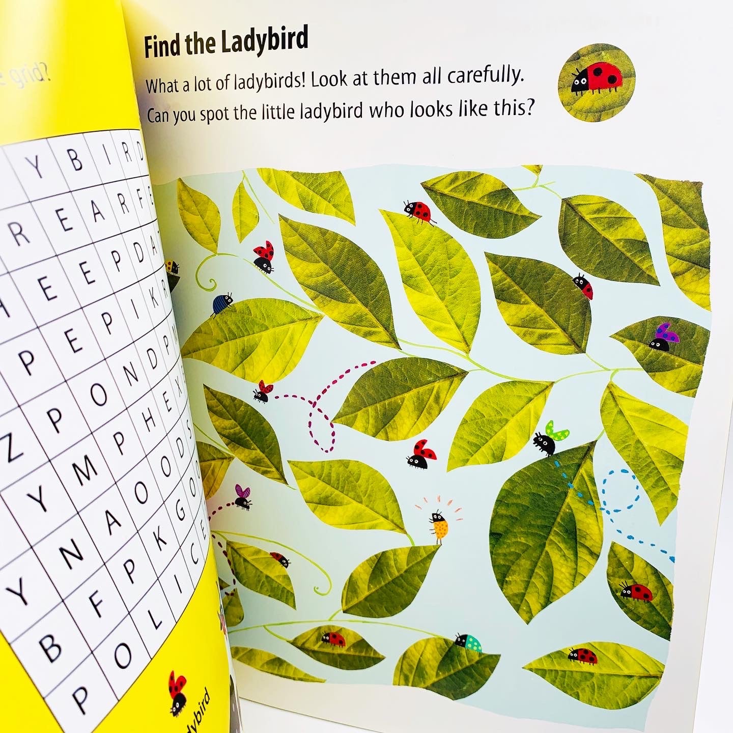 What the Ladybird Heard Sticker Activity Book (with over 80 reusable stickers)