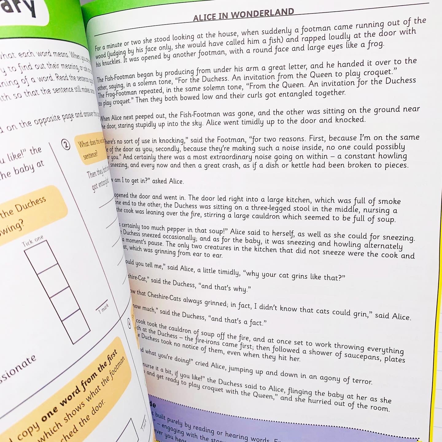 Help With Homework: Don't Panic English with Revision Poster Level 2 (Age 9+)