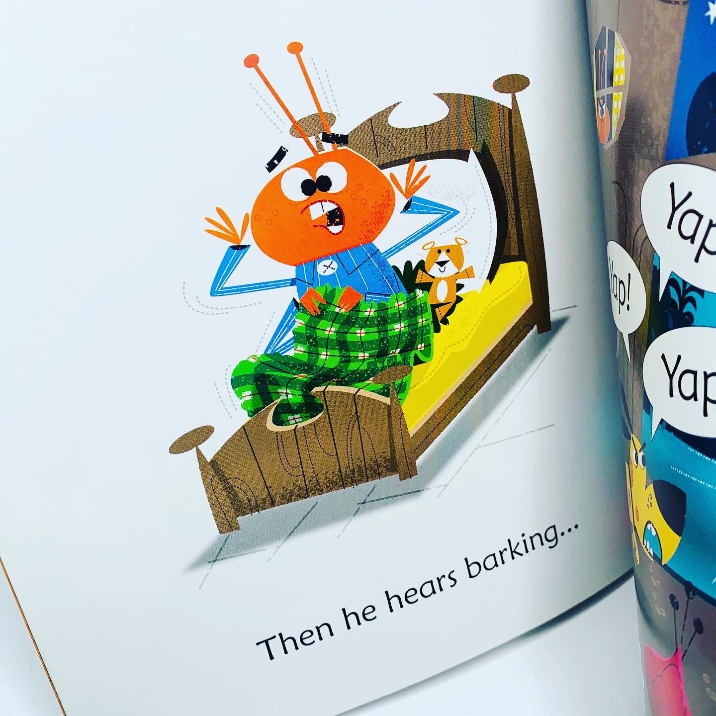 Usborne Phonics Readers: Bug in a Rug