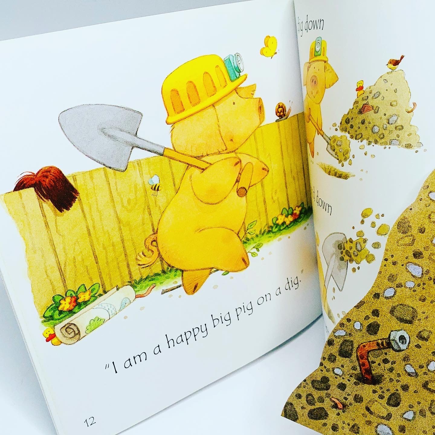 Usborne Phonics Readers: Big Pig on a Dig