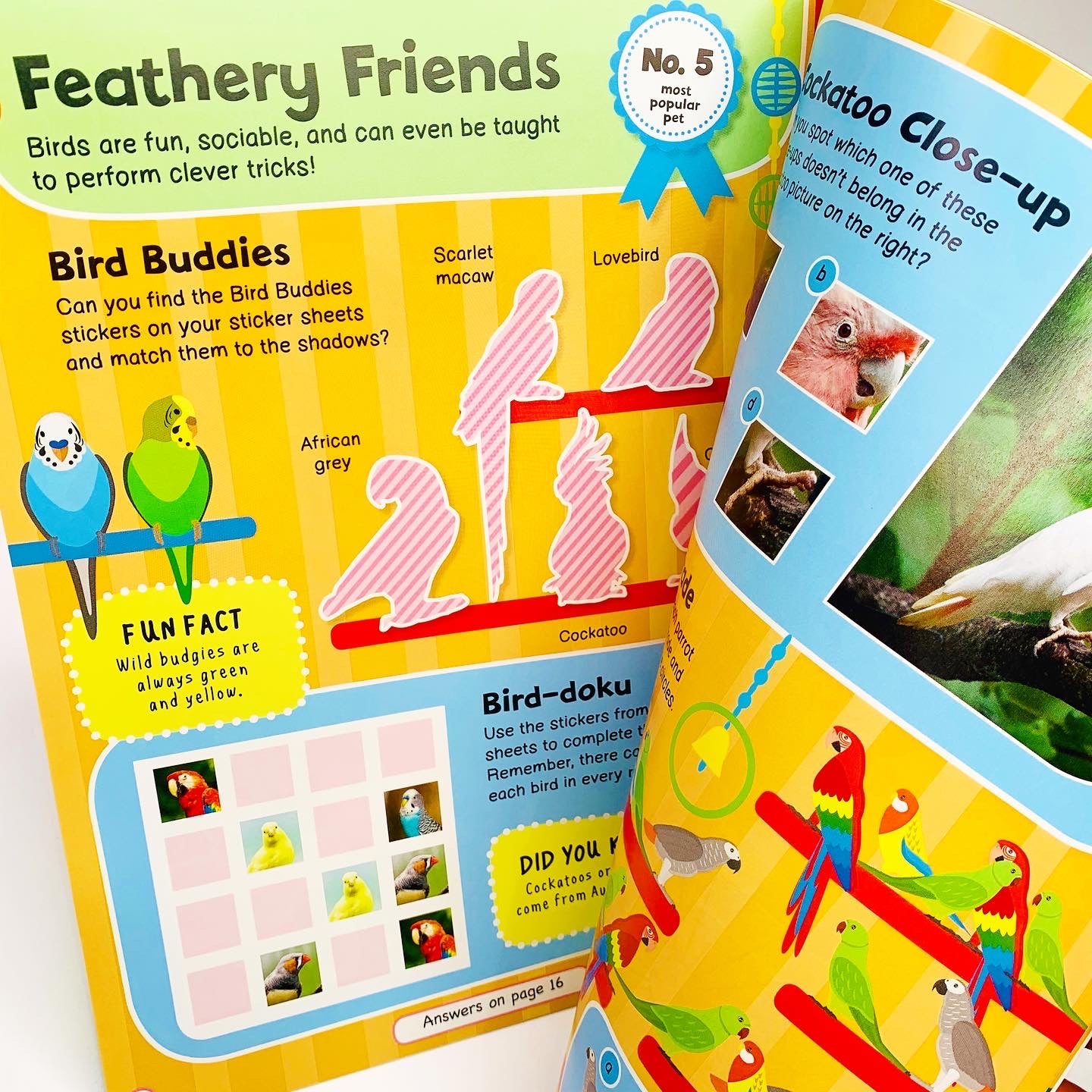 Pet Animals Activity and Sticker Book