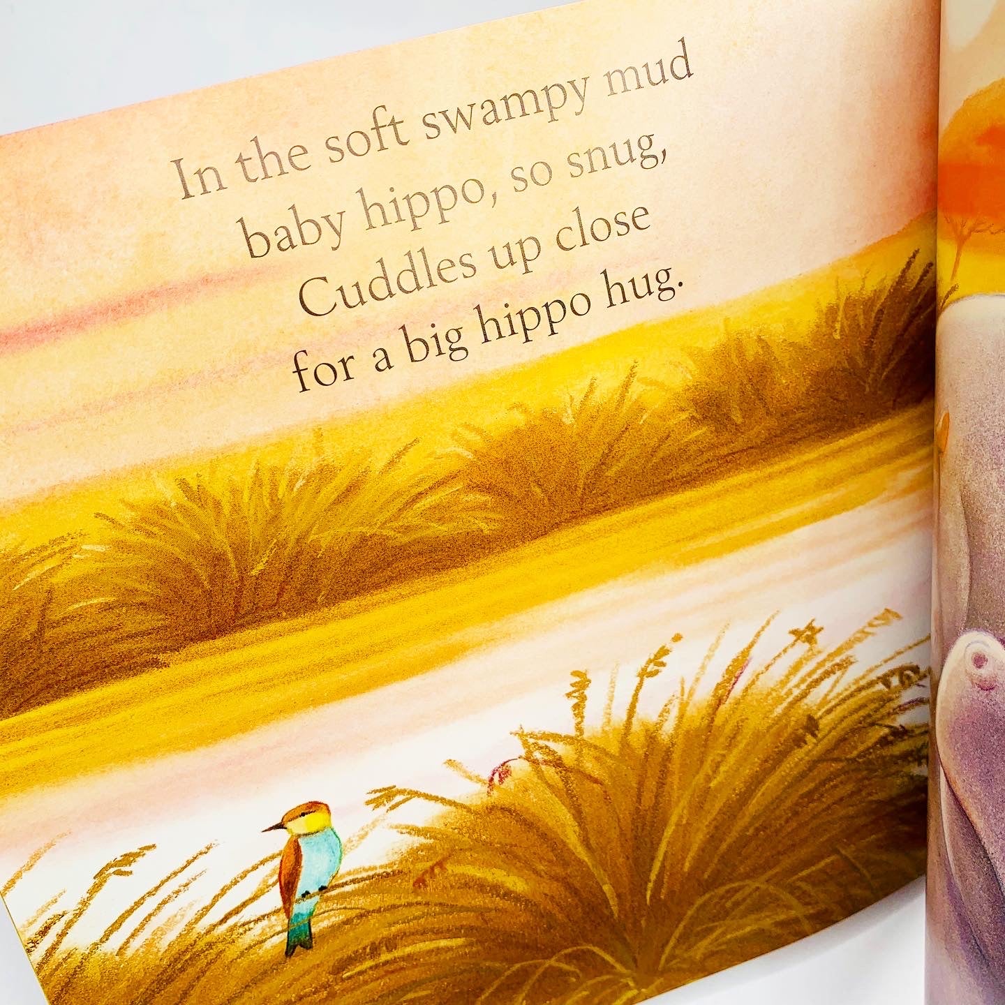 Snuggle Up, Sleepy Ones: Picture Book and CD