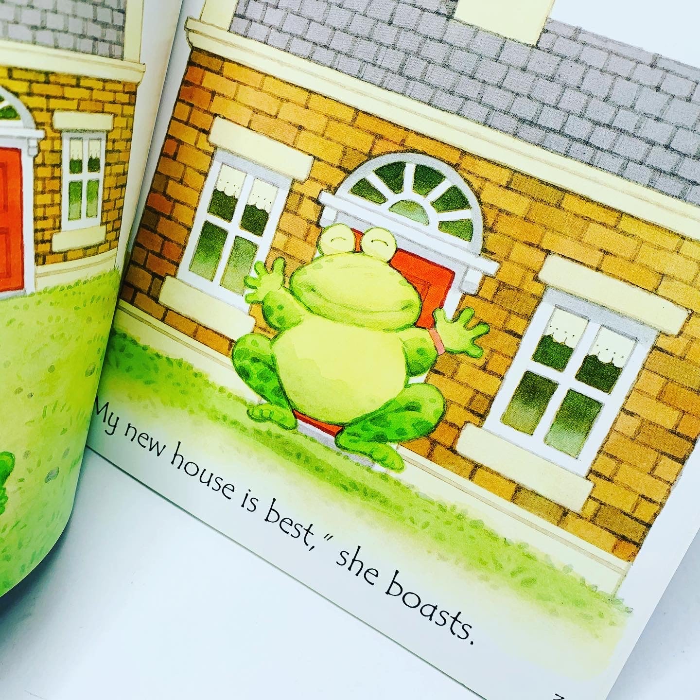 Usborne Phonics Readers: Toad Makes a Road