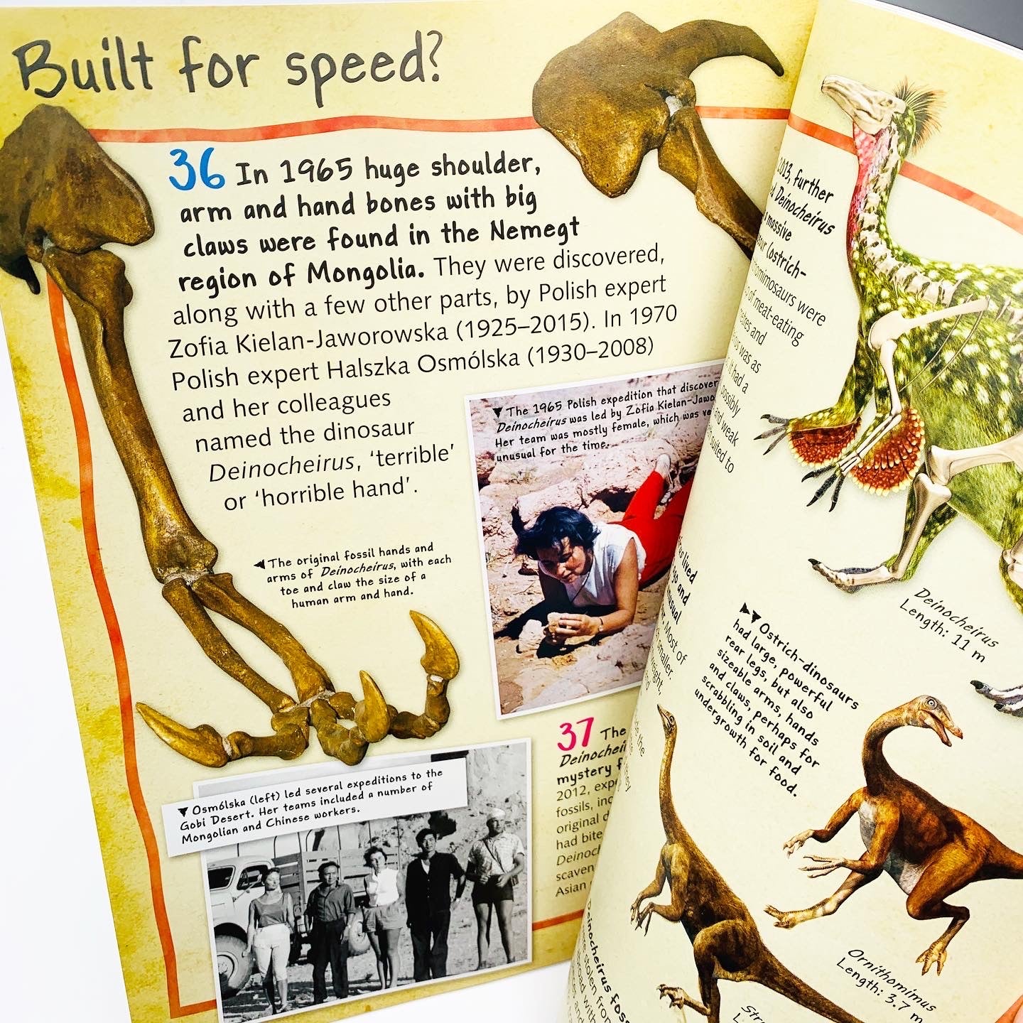 100 Facts Dinosaur Science