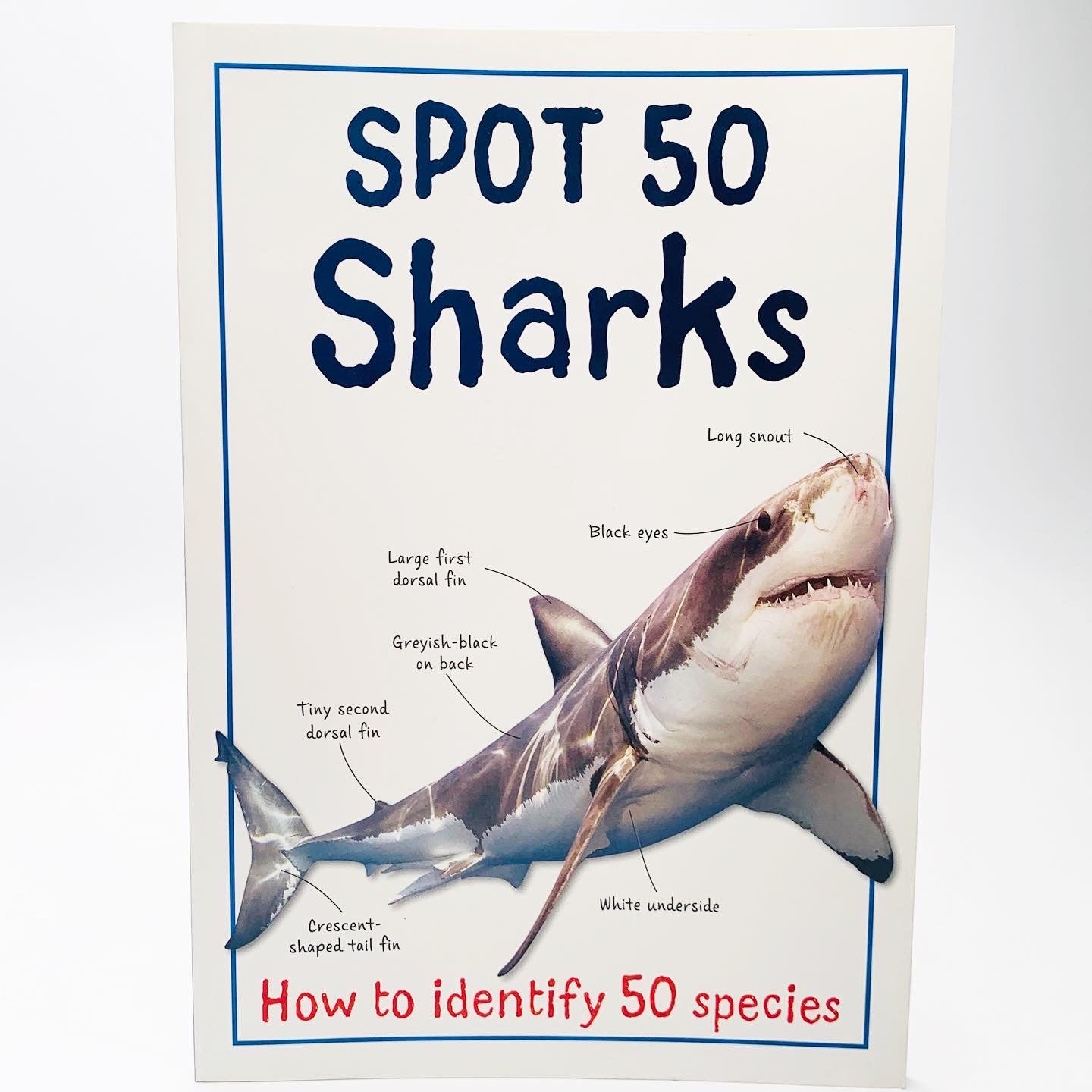 Spot 50 Sharks