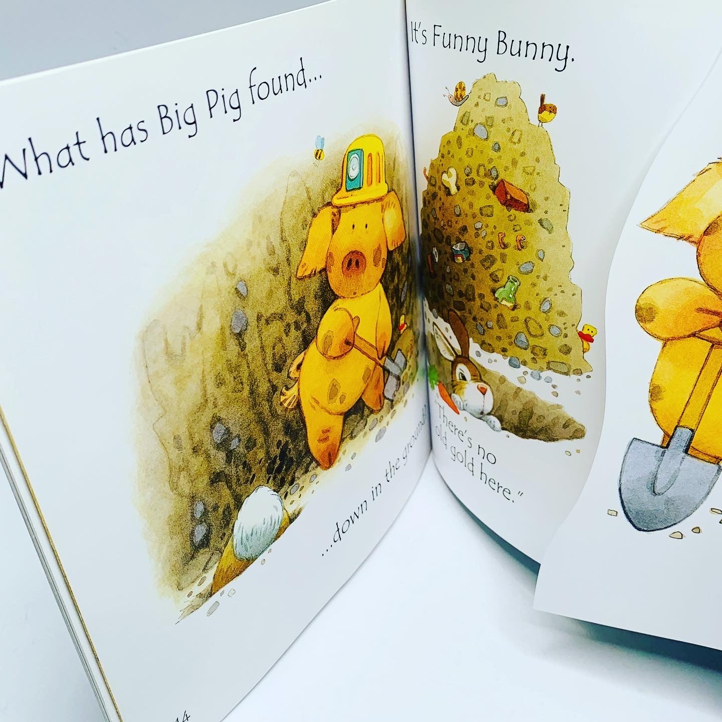 Usborne Phonics Readers: Big Pig on a Dig