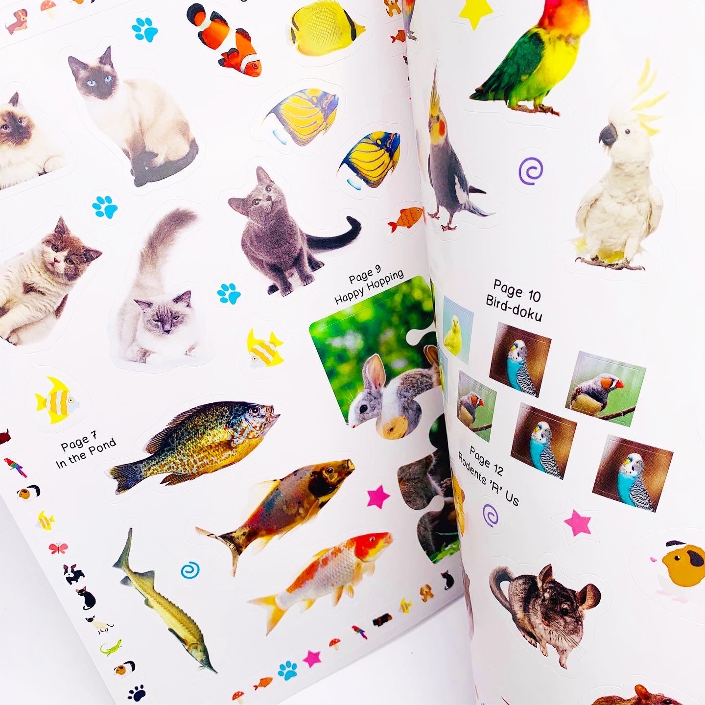 Pet Animals Activity and Sticker Book