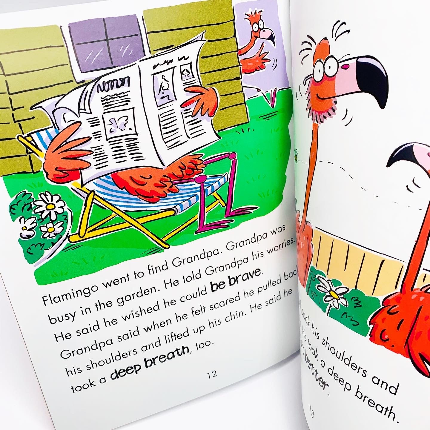 Behaviour Matters: Flamingo is Brave: A book about feeling scared