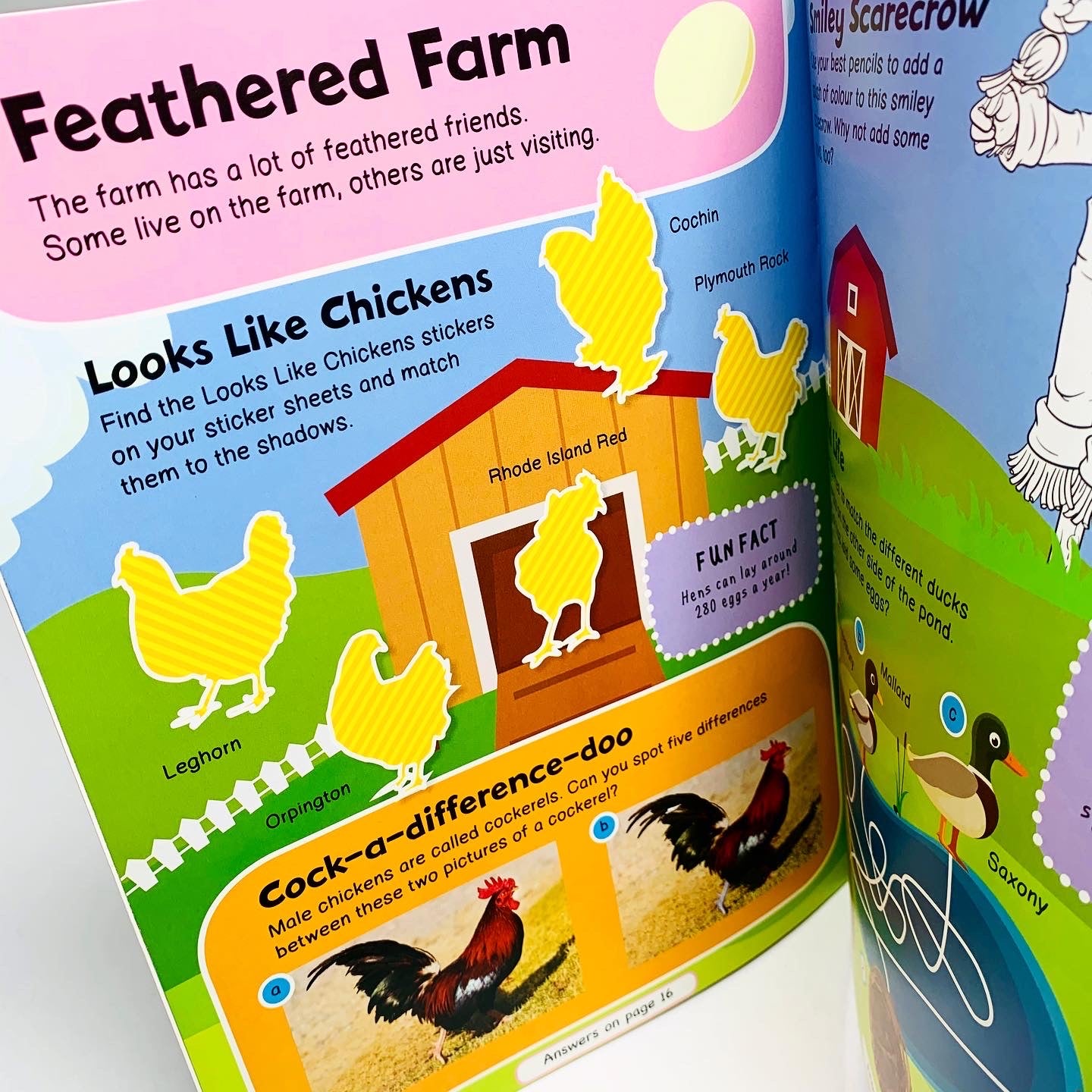 Farm Animals Activity Book