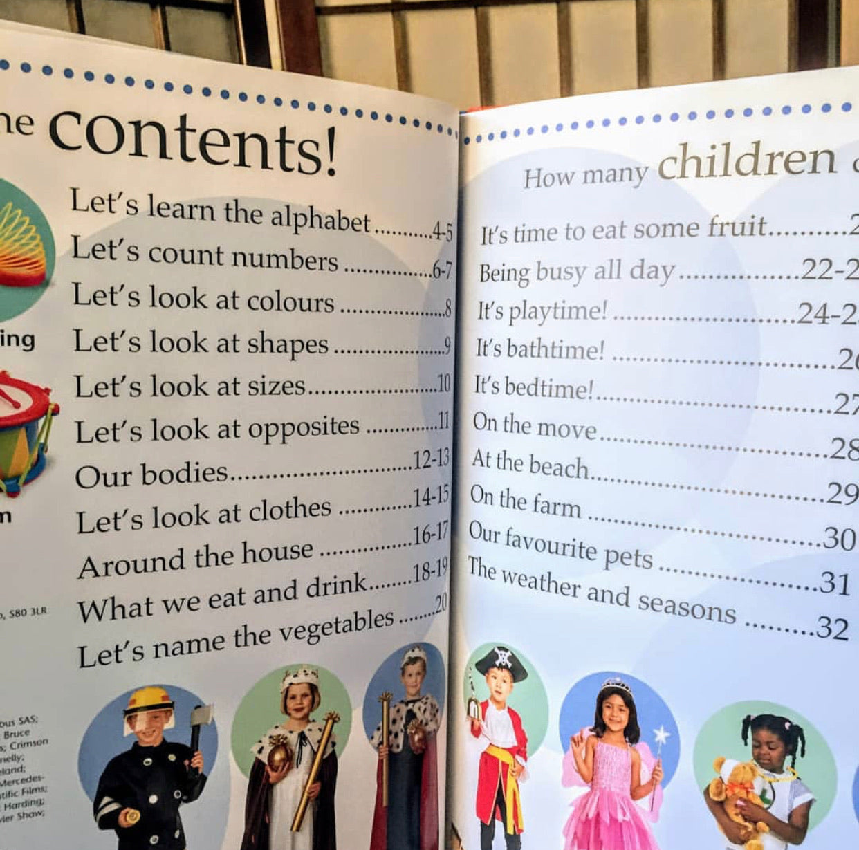 The Toddler's Big Book of Everything