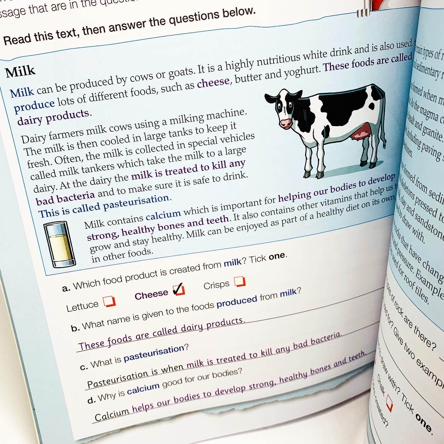 National Curriculum English Revision Guide Year 4 (Ages 8-9)