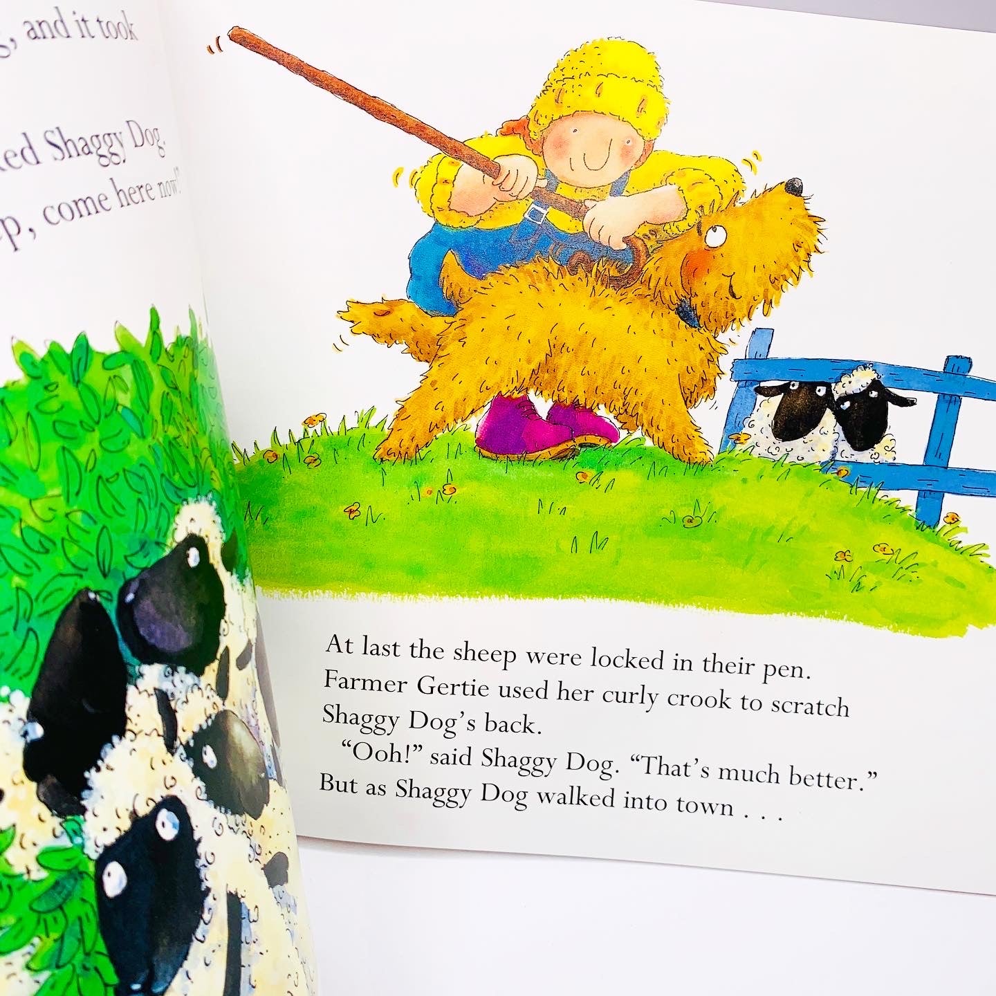 Shaggy Dog and the Terrible Itch: Picture Book and CD