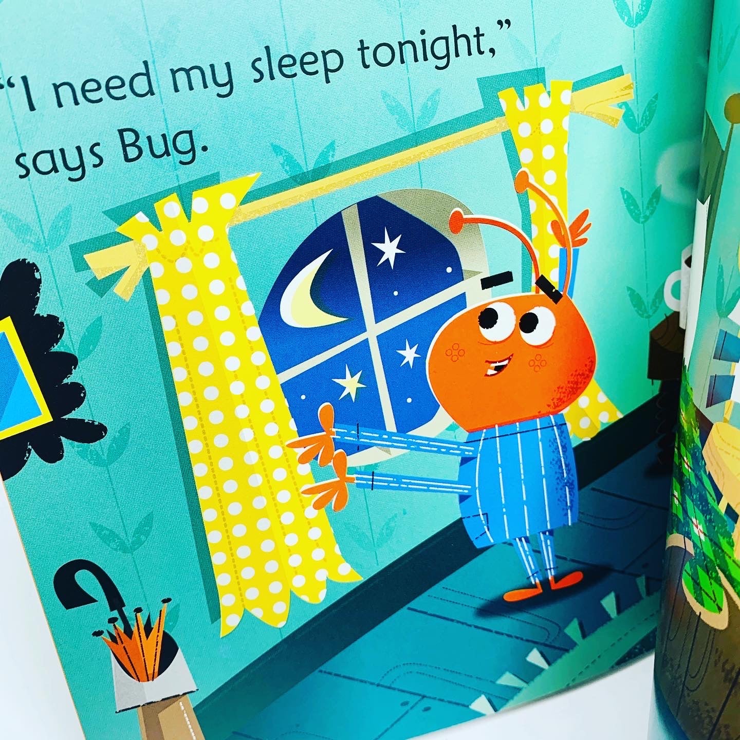 Usborne Phonics Readers: Bug in a Rug