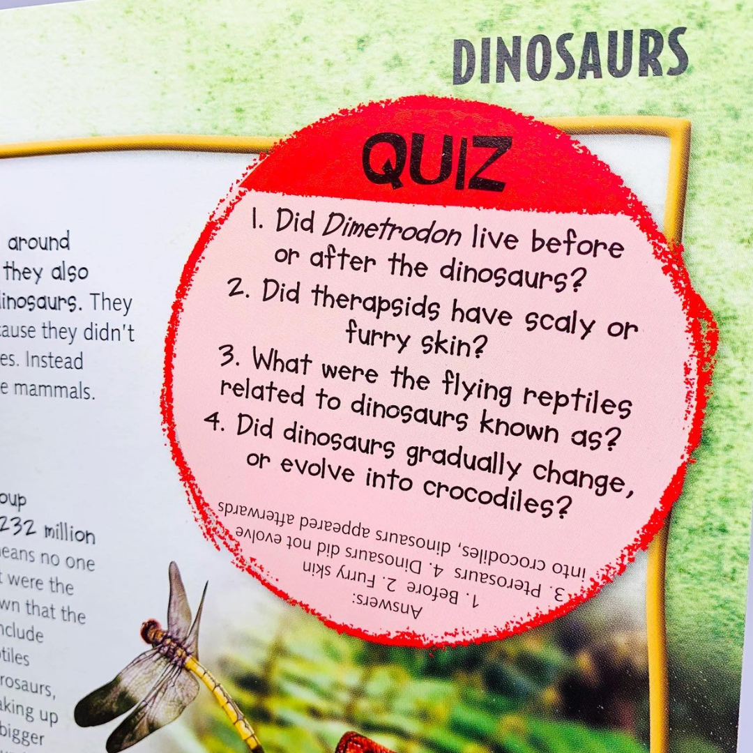 Miles Kelly: Wild About Dinosaurs Children's Encyclopedia