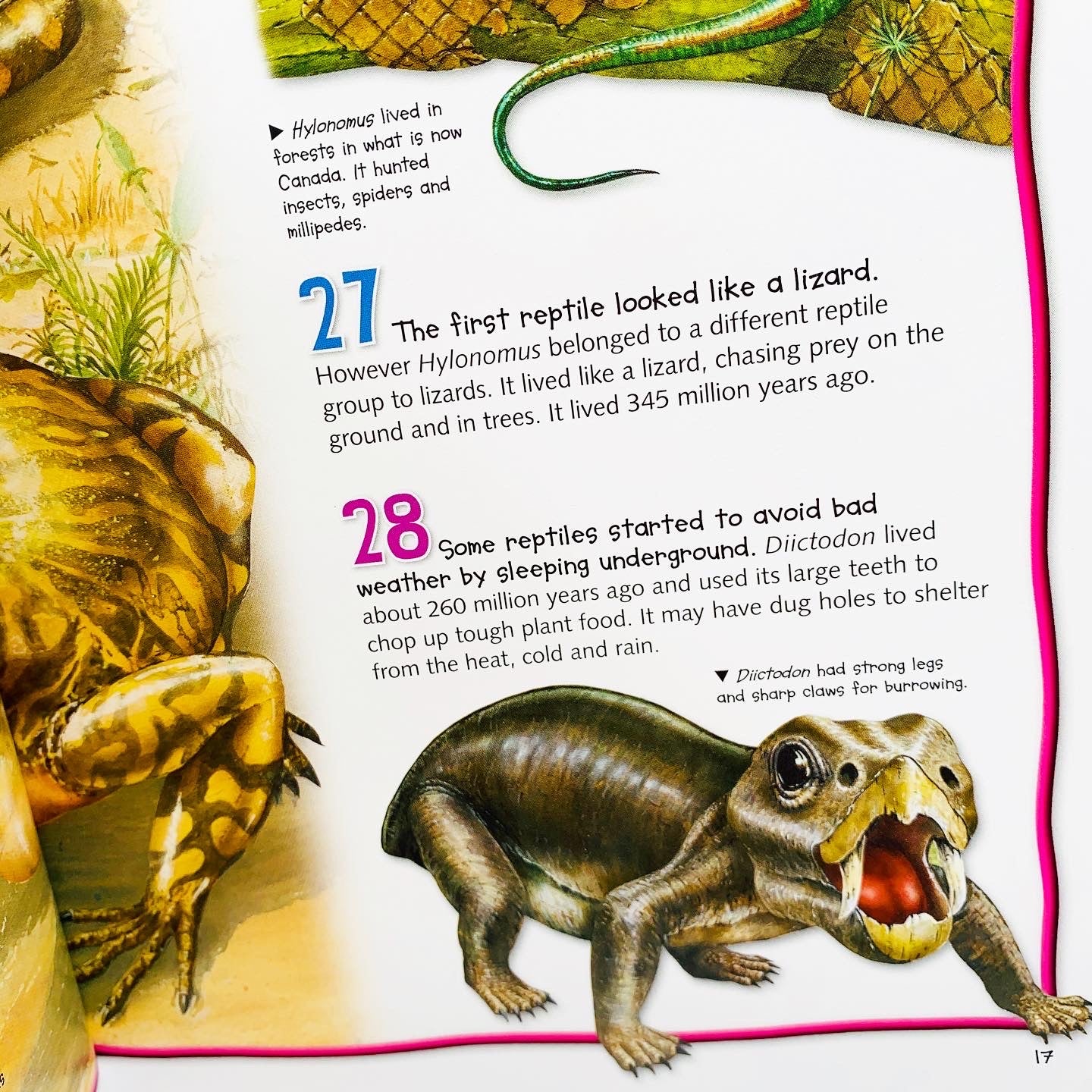 Miles Kelly: Wild About Dinosaurs Children's Encyclopedia