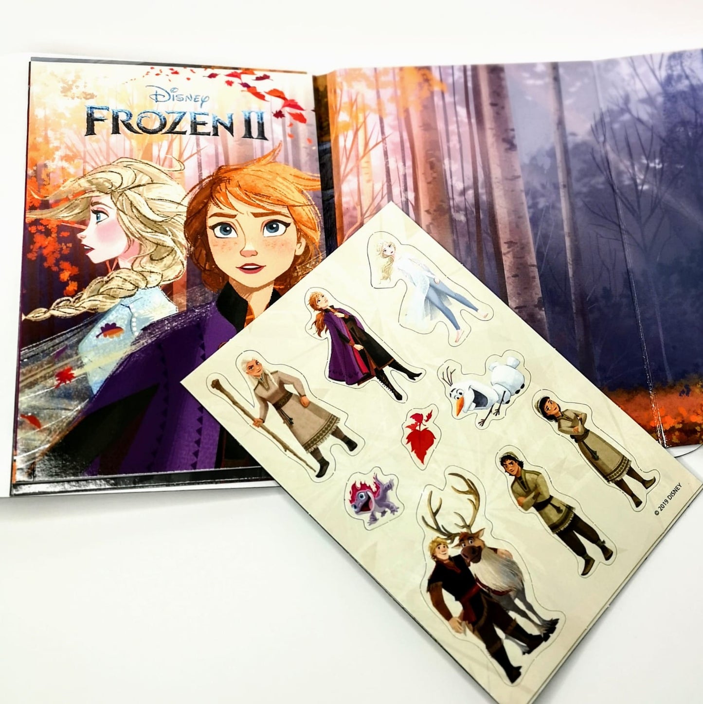 Frozen II My Magnet & Book Pack